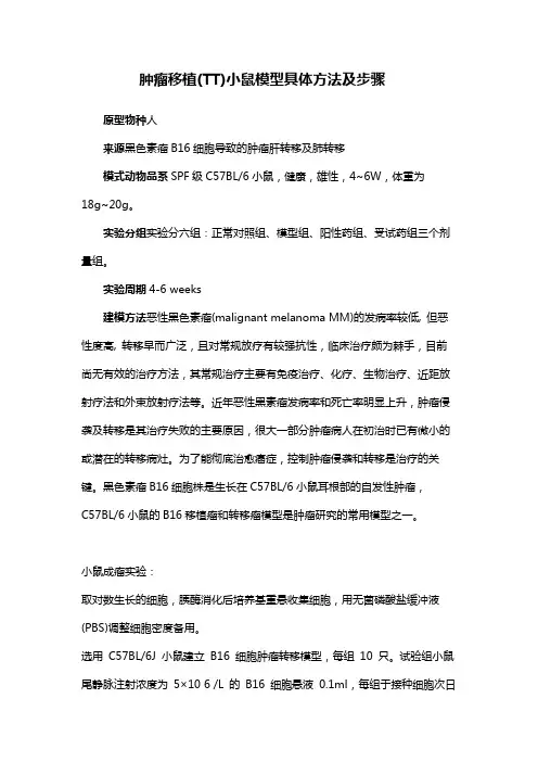 肿瘤移植(TT)小鼠模型具体方法及步骤