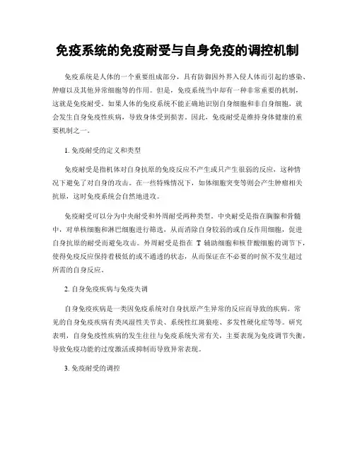 免疫系统的免疫耐受与自身免疫的调控机制