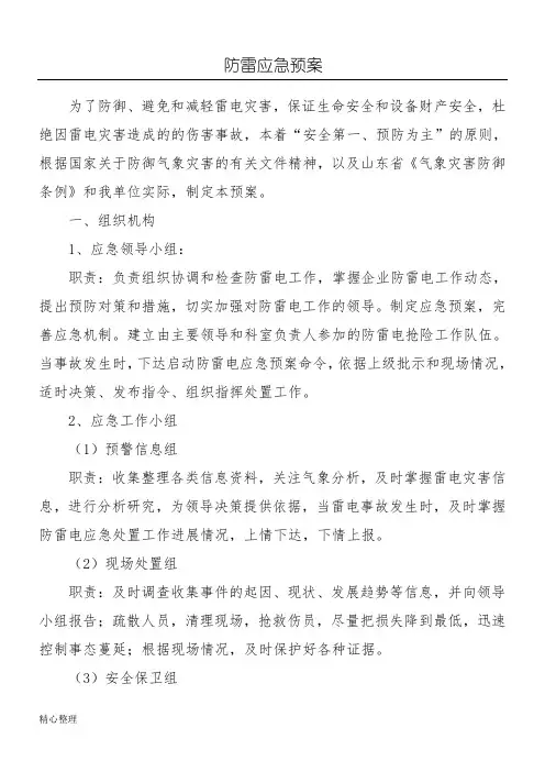 防雷安全应急预案等