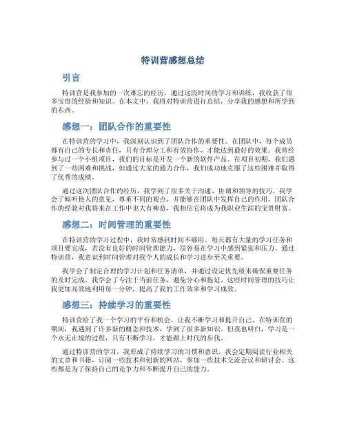 特训营感想总结