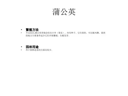 园林树木学作业模板