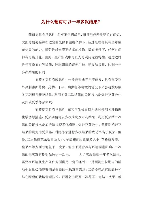 为什么葡萄可以一年多次结果？ 