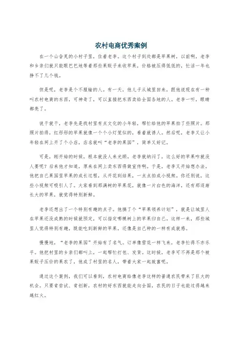 农村电商优秀案例