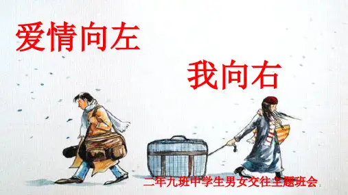 高中生早恋主题班会ppt课件