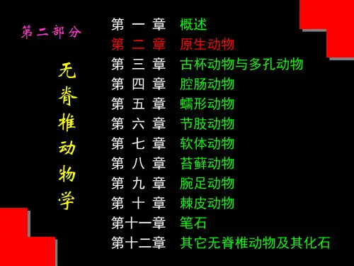 古无脊椎动物学第2章原生动物