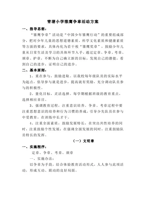 雏鹰争章活动方1