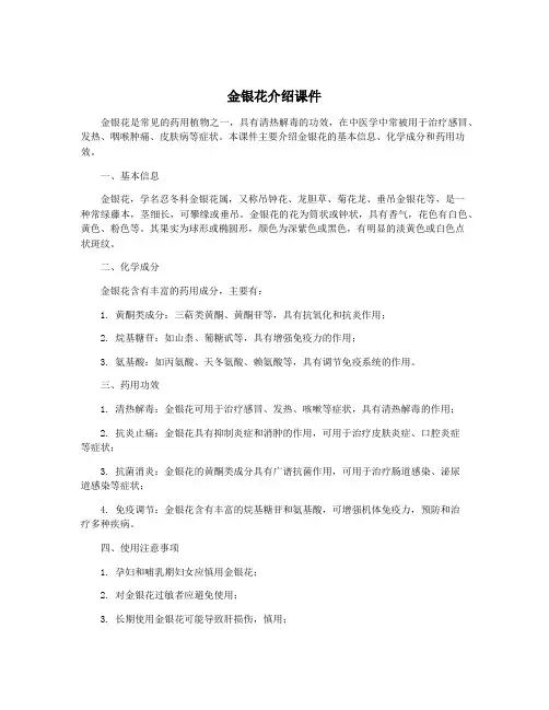金银花介绍课件