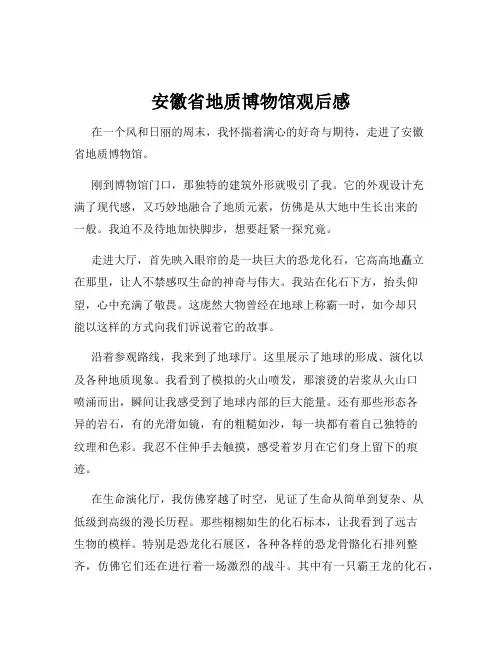 安徽省地质博物馆观后感