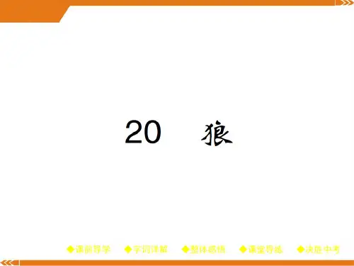 人教版七年级语文上册课件：20.狼(共23张PPT)