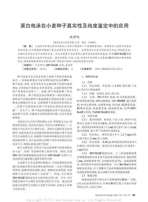蛋白电泳在小麦种子真实性及纯度鉴定中的应用