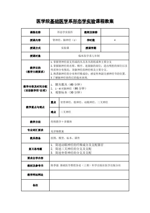 医学院基础医学系形态学实验课程教案