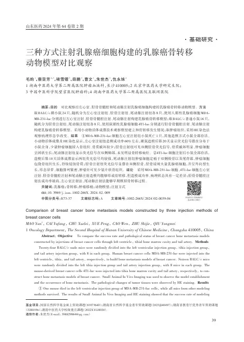 三种方式注射乳腺癌细胞构建的乳腺癌骨转移动物模型对比观察