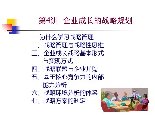 企业成长的战略规划c