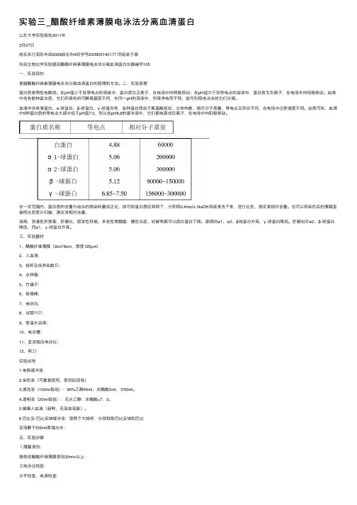 实验三_醋酸纤维素薄膜电泳法分离血清蛋白