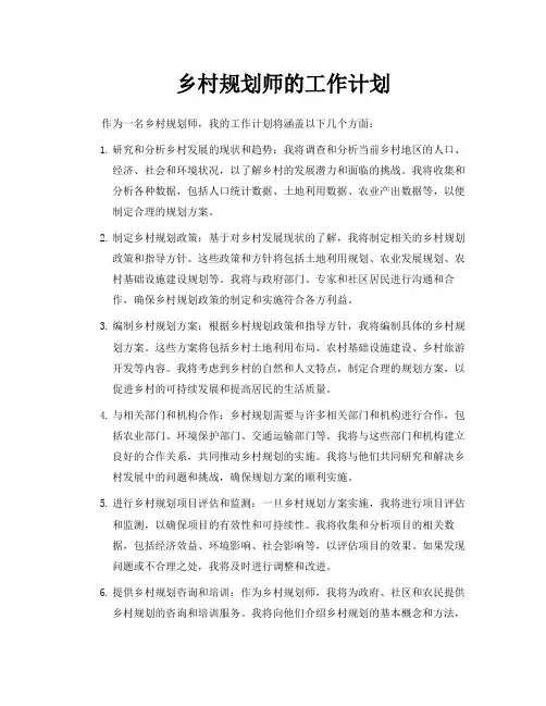 乡村规划师的工作计划