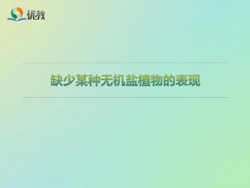 缺少某种无机盐植物的表现