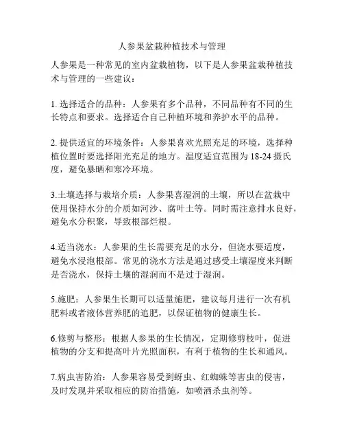人参果盆栽种植技术与管理