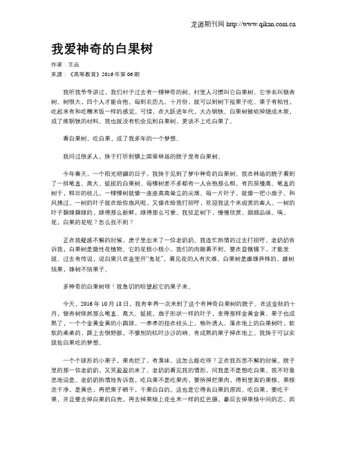 我爱神奇的白果树