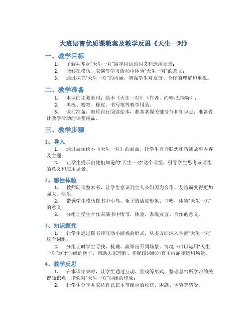 大班语言优质课教案及教学反思《天生一对》