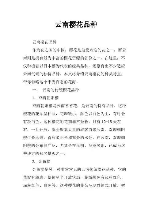 云南樱花品种