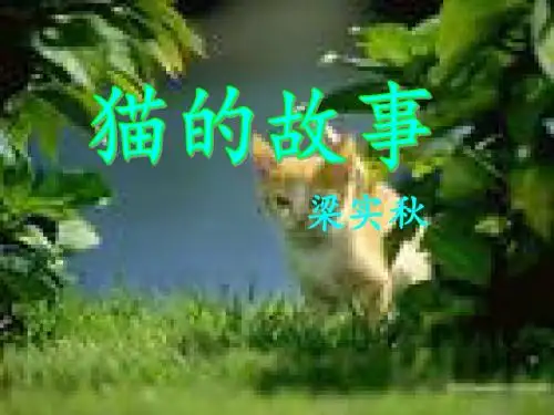 猫的故事 - l梁实秋