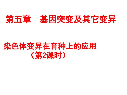 高三生物一轮复习课件： 染色体变异染色体变异在育种上的应用