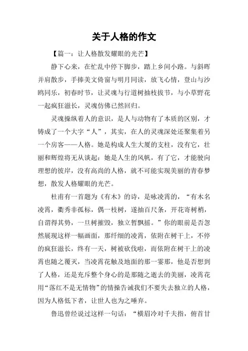 关于人格的作文