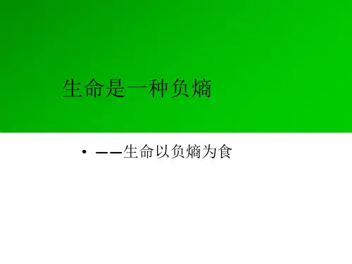 生命是一种负熵