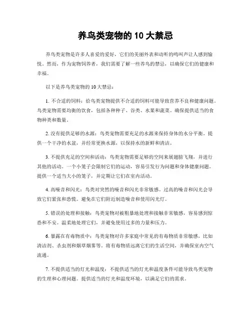 养鸟类宠物的10大禁忌