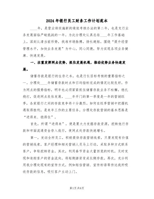 2024年银行员工财务工作计划范本（二篇）