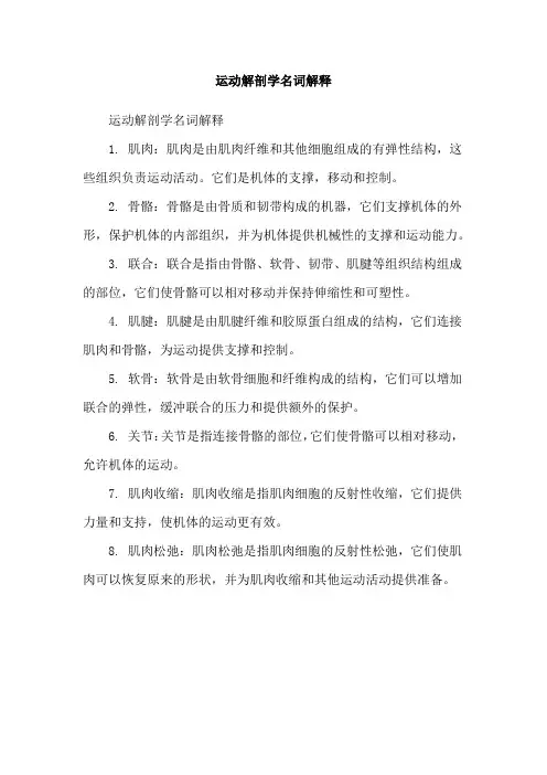 运动解剖学名词解释
