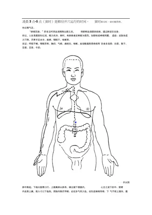 十二时辰和人体经络图表
