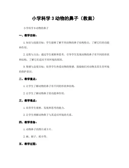 小学科学3动物的鼻子(教案)