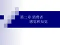 消费者行为学第二章 消费者感知觉