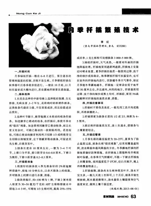 月季扦插繁殖技术