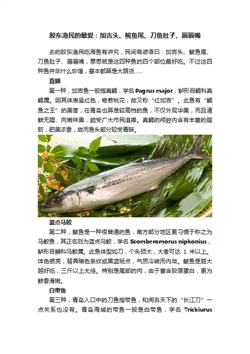 胶东渔民的最爱：加吉头、鲅鱼尾、刀鱼肚子、唇唇嘴