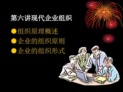 第七讲现代企业组织案例