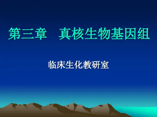 第三章 真核生物基因组