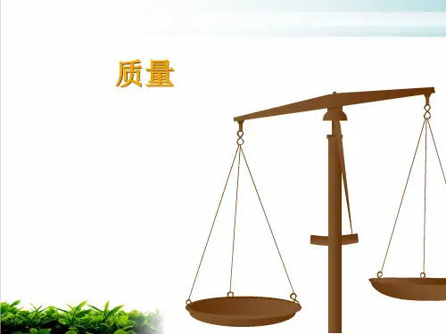沪科版八年级全册 物理 课件 质量 (共13页)