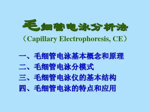 5毛细管电泳 仪器分析选修课课件