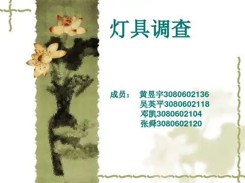 灯具设计调查报告样本.pptx