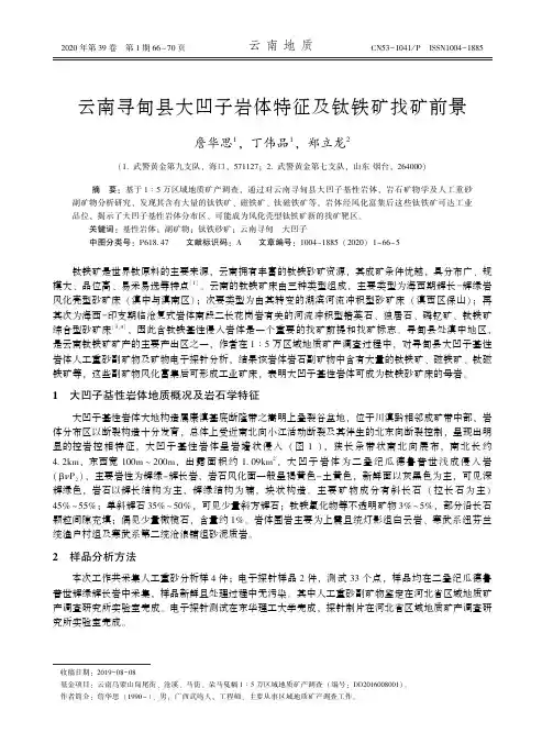 云南寻甸县大凹子岩体特征及钛铁矿找矿前景