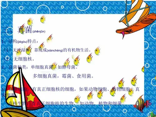 七年级科学上册显微镜下的各种生物