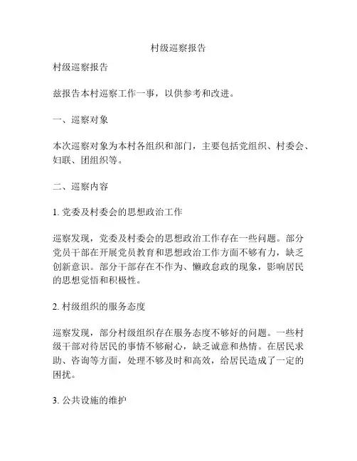 村级巡察报告