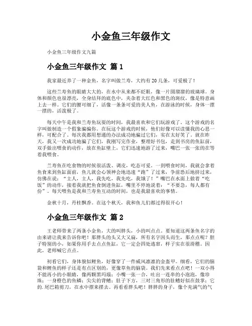 小金鱼三年级作文