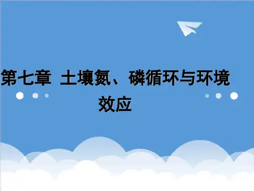 环境管理-第8章土壤氮、磷循环与环境效应环境土壤学张