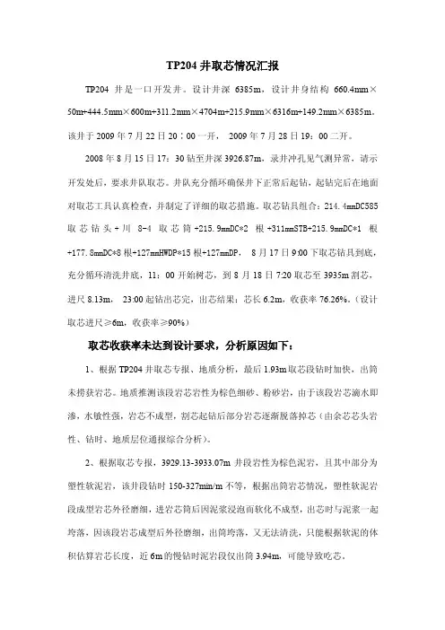 取芯报告文档