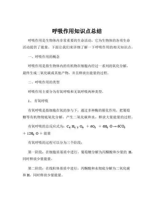 呼吸作用知识点总结