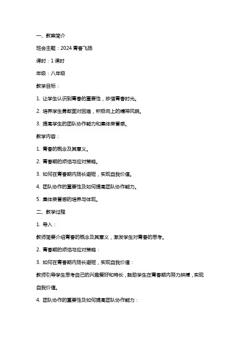 2024青春飞扬主题班会教案范文