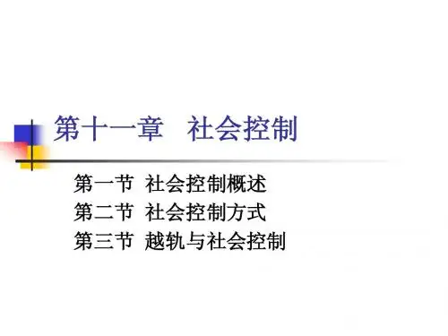 第十一章   社会控制
